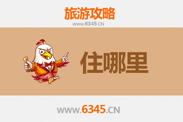 邢台桥西区旅游民宿全攻略：沉浸式体验古韵与新潮的完美融合